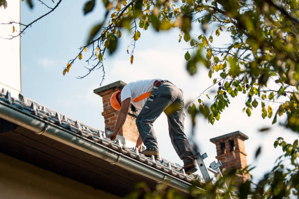Roof Gutter Cleaning in Morehead City, NC